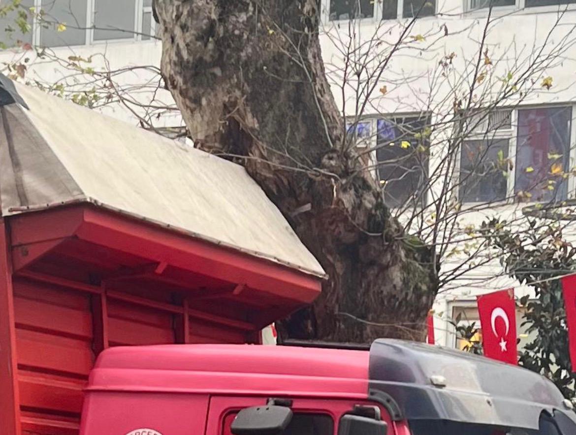 Whatsapp Image 2026 01 23 At 16.39.31