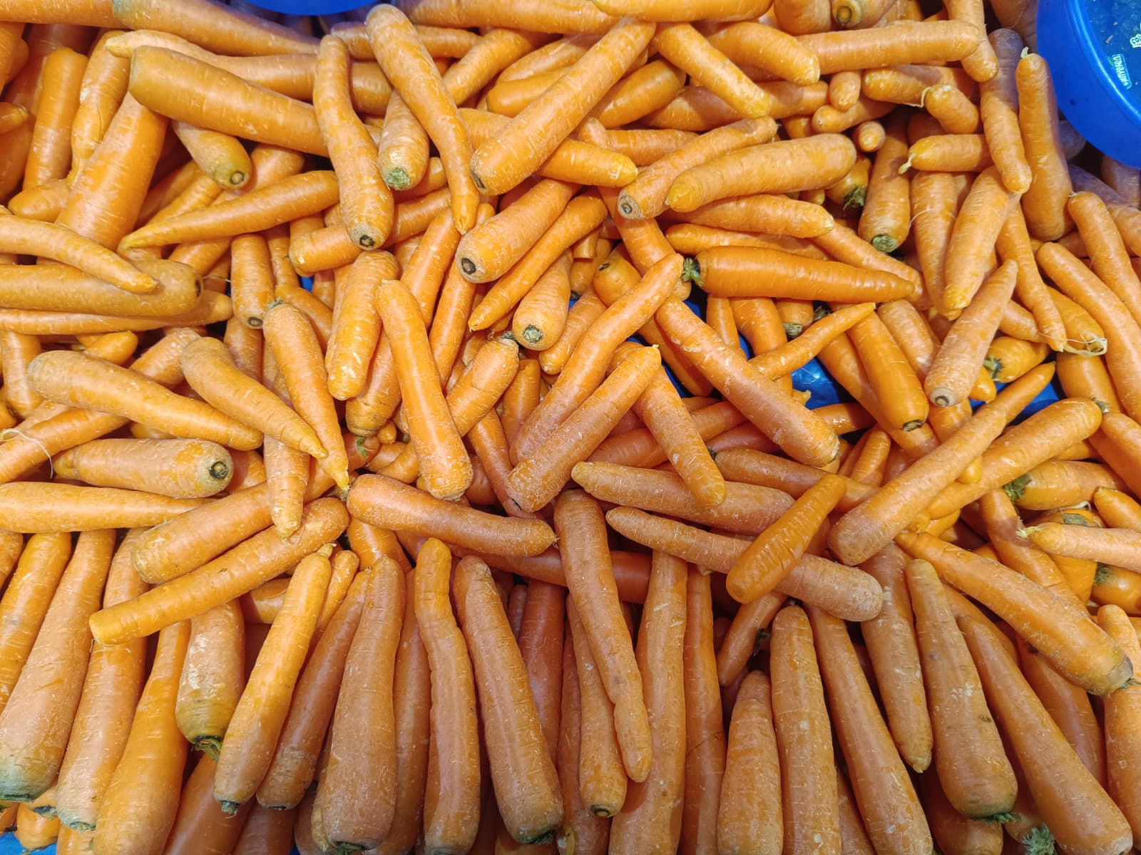 Whatsapp Image 2026 01 24 At 10.21.58