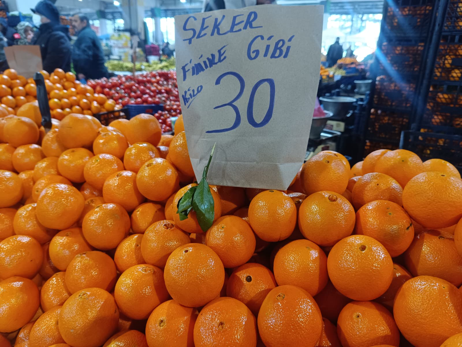 Whatsapp Image 2026 01 24 At 10.21.59 (1)