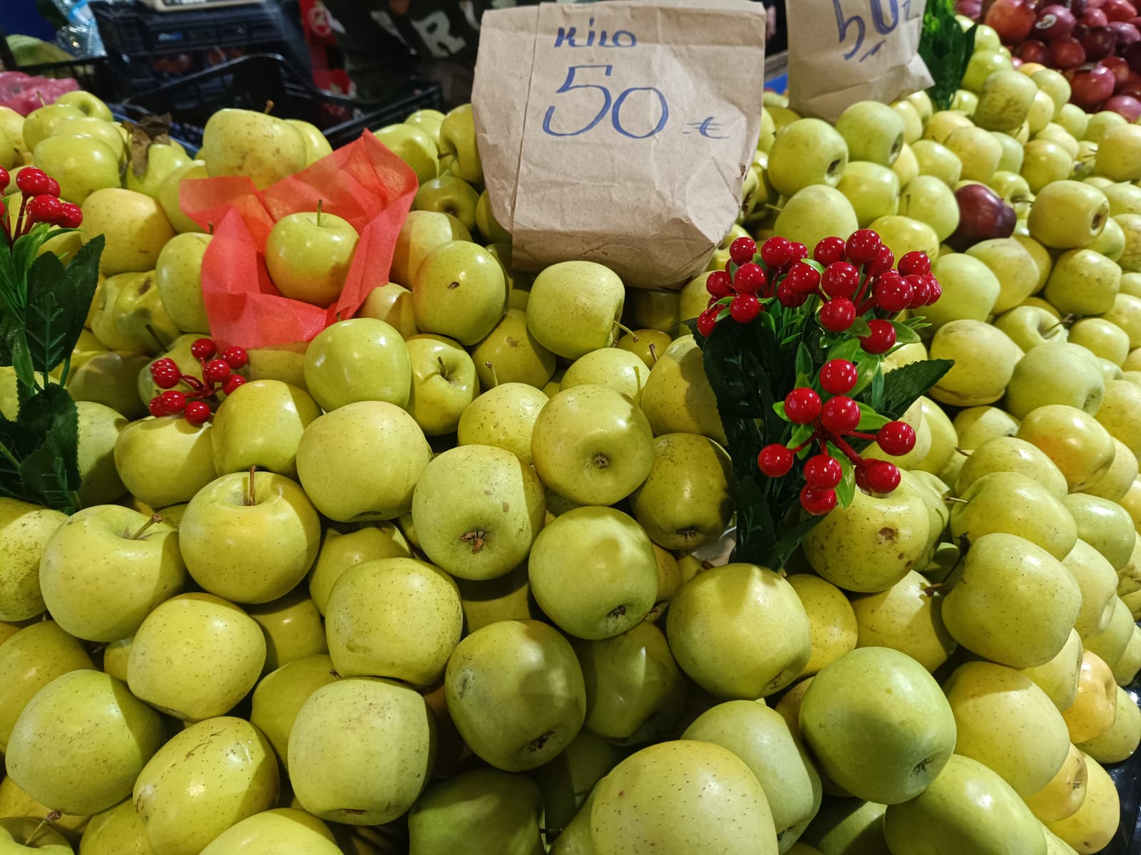 Whatsapp Image 2026 01 24 At 10.21.59