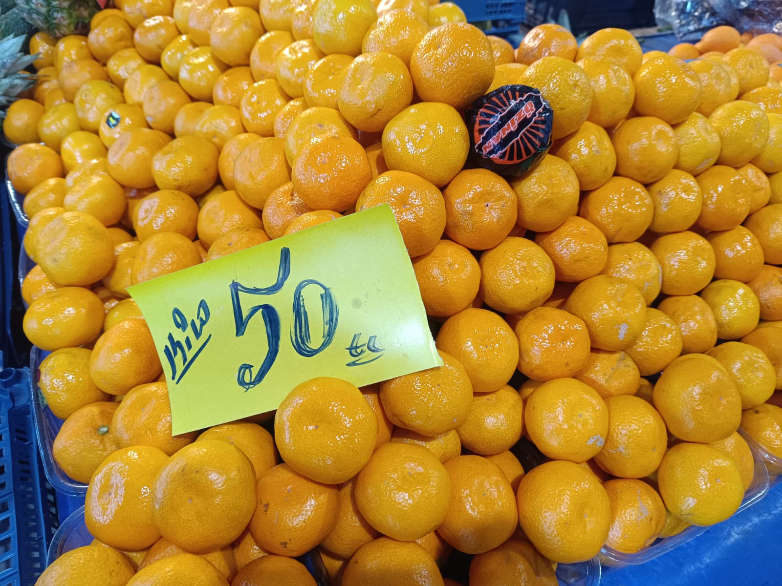 Whatsapp Image 2026 01 24 At 10.22.01 (1)