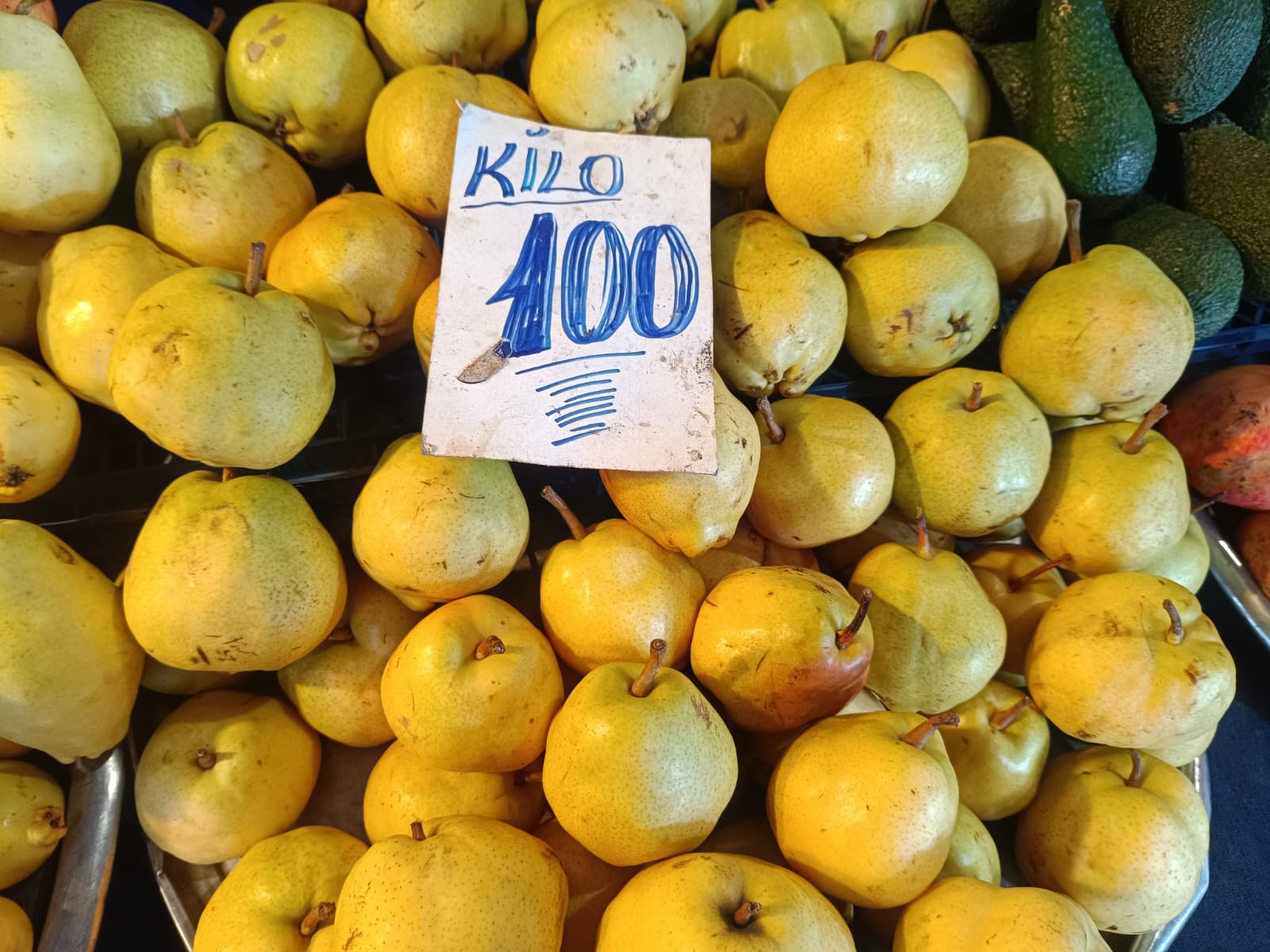 Whatsapp Image 2026 01 24 At 10.22.03