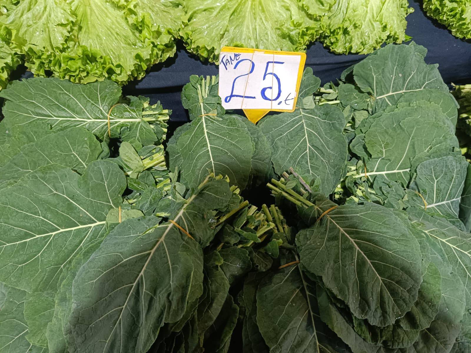 Whatsapp Image 2026 01 24 At 10.22.08