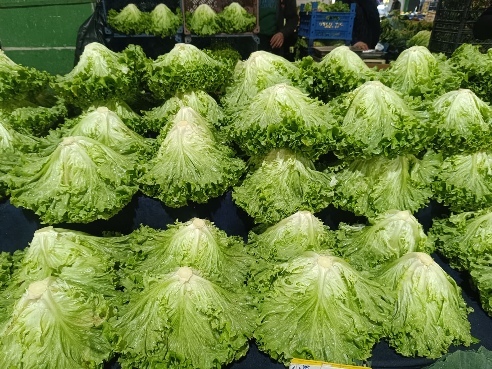 Whatsapp Image 2026 01 24 At 10.22.12 (1)