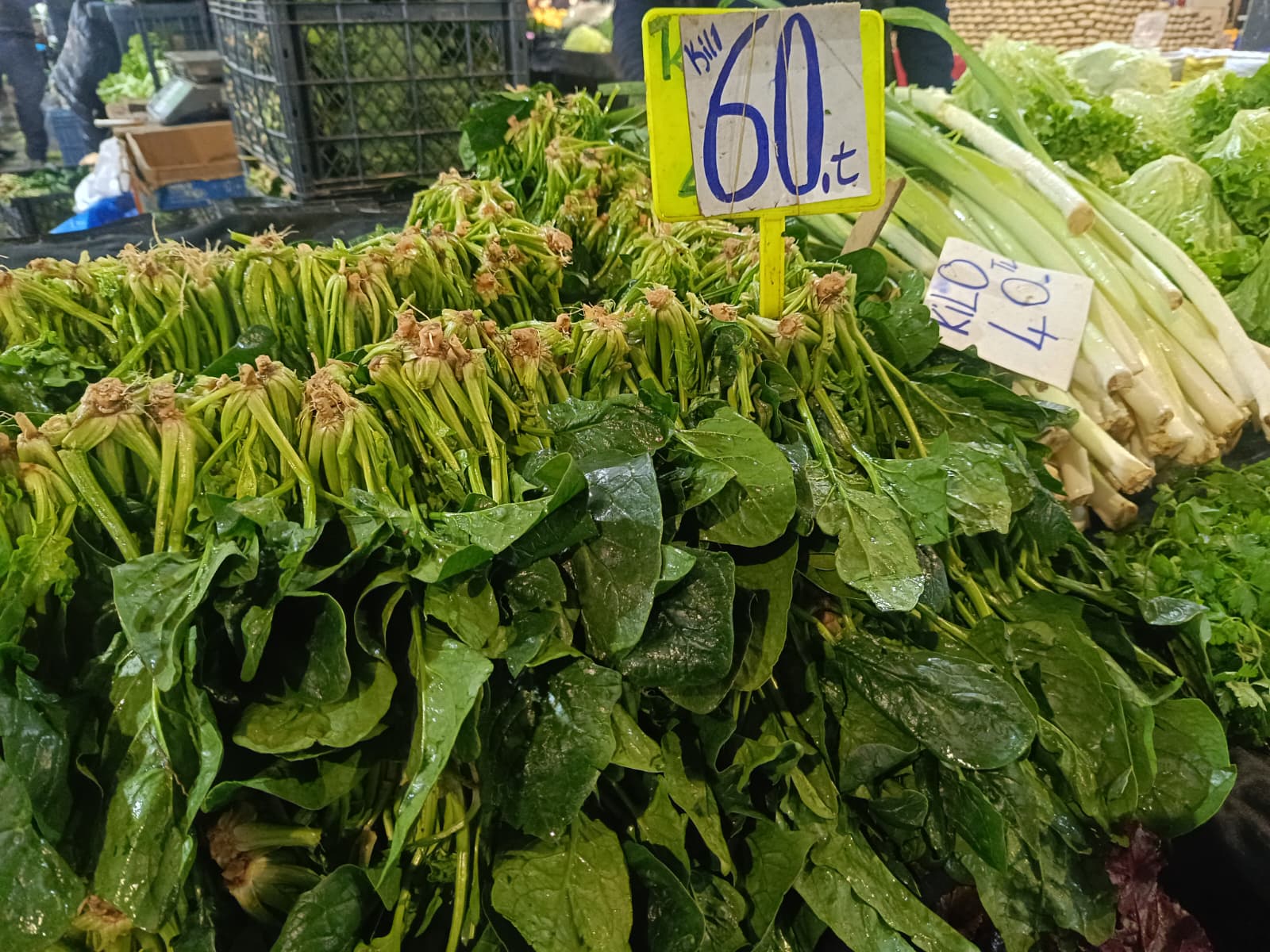 Whatsapp Image 2026 01 24 At 10.22.12