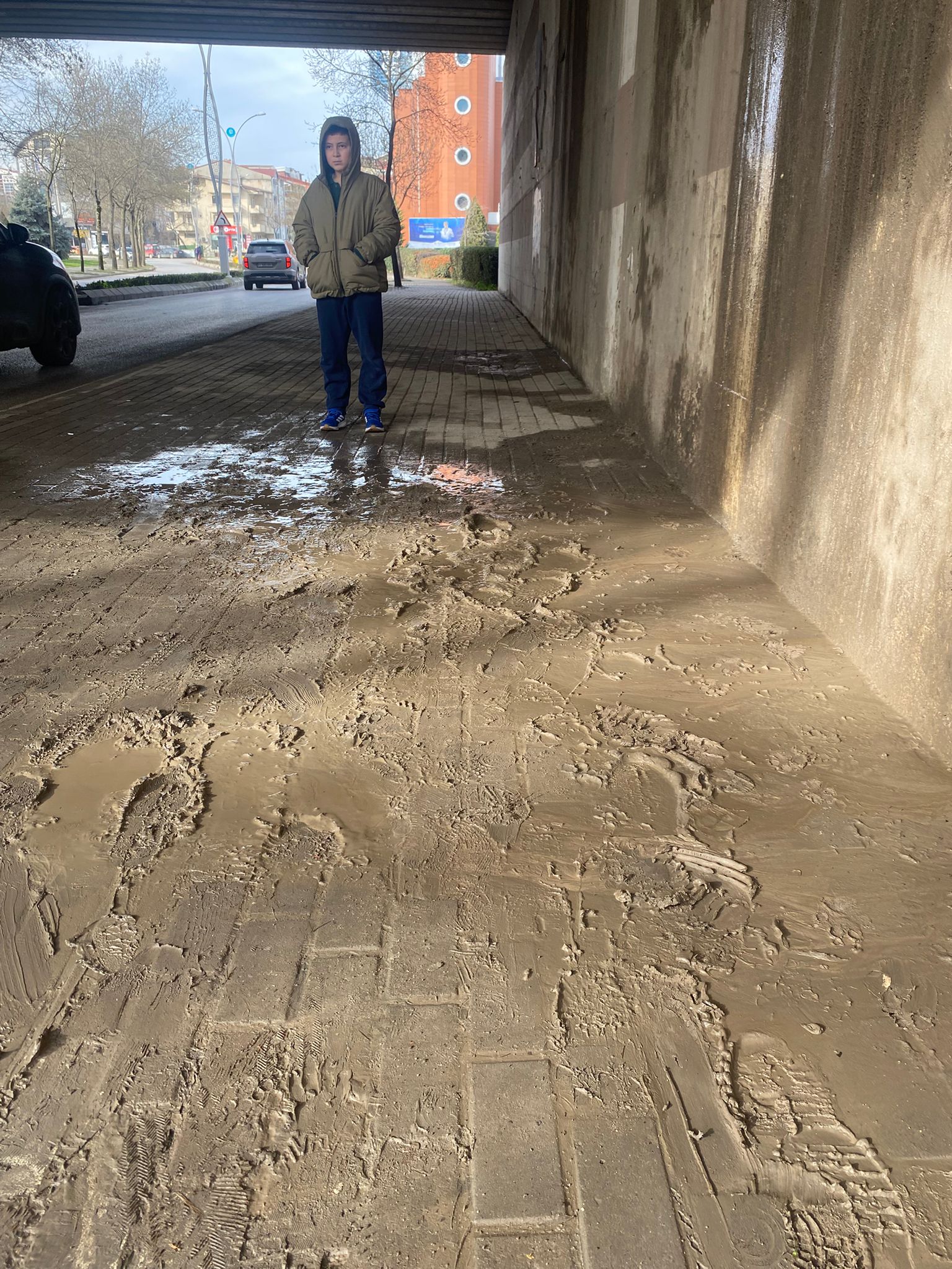 Whatsapp Image 2026 01 26 At 11.56.50