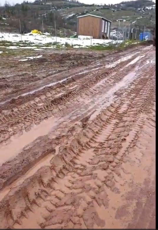 Whatsapp Image 2026 01 27 At 08.34.26 (1)