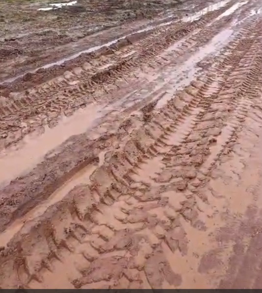 Whatsapp Image 2026 01 27 At 08.34.26 (2)