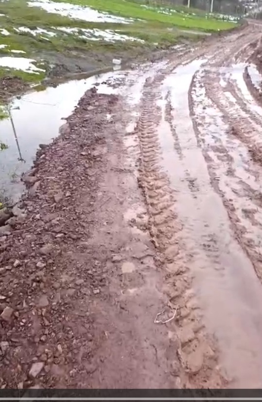 Whatsapp Image 2026 01 27 At 08.34.26 (3)