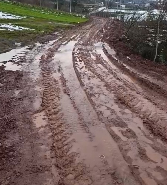 Whatsapp Image 2026 01 27 At 08.34.26 (4)