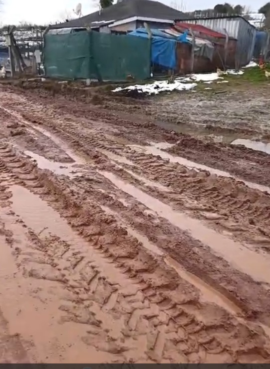 Whatsapp Image 2026 01 27 At 08.34.26