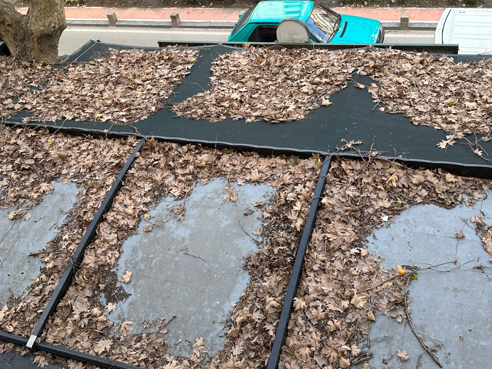 Whatsapp Image 2026 01 28 At 11.59.44 (1)