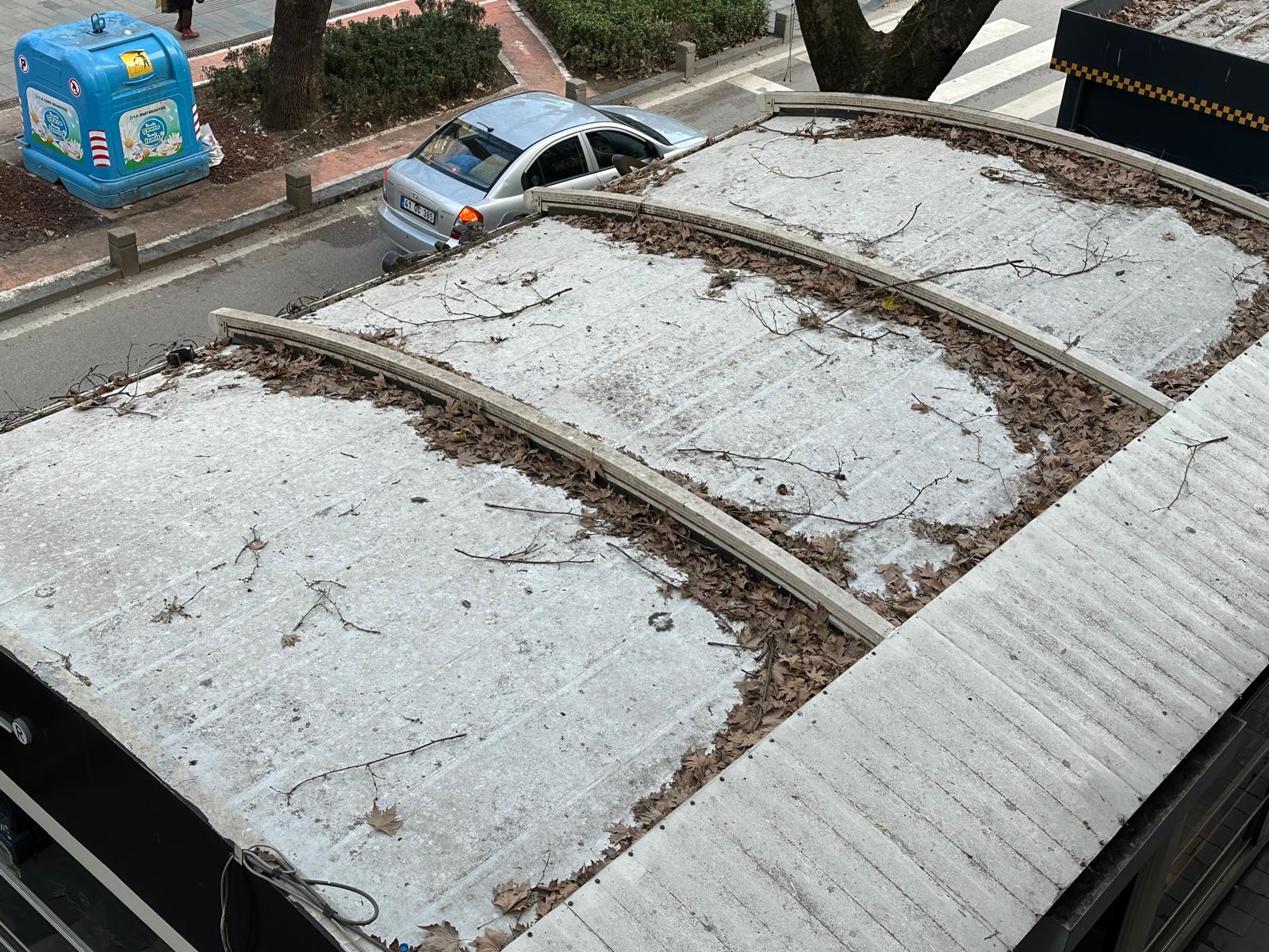 Whatsapp Image 2026 01 28 At 11.59.44 (2)