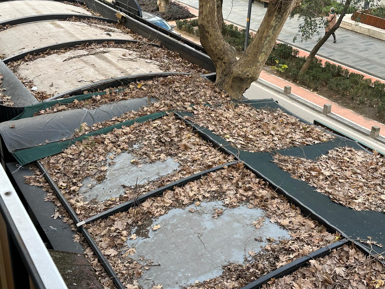 Whatsapp Image 2026 01 28 At 11.59.44 (3)