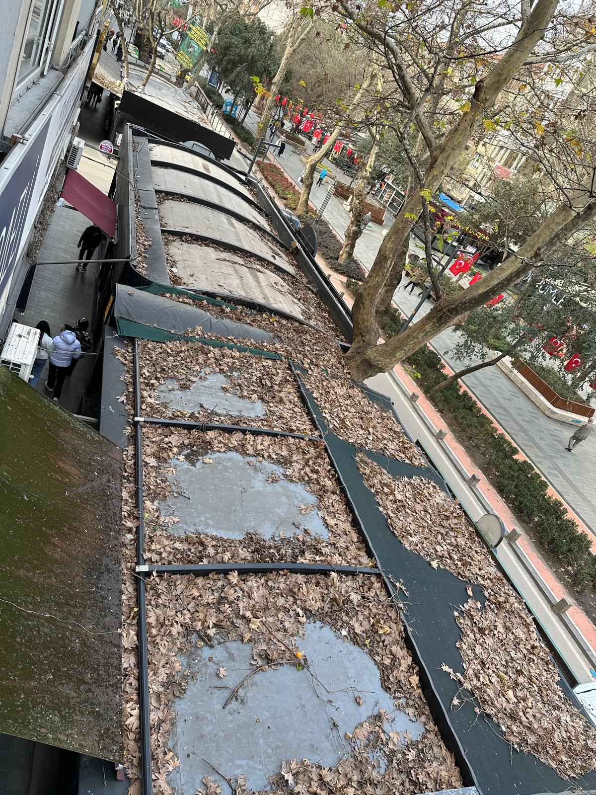 Whatsapp Image 2026 01 28 At 11.59.44