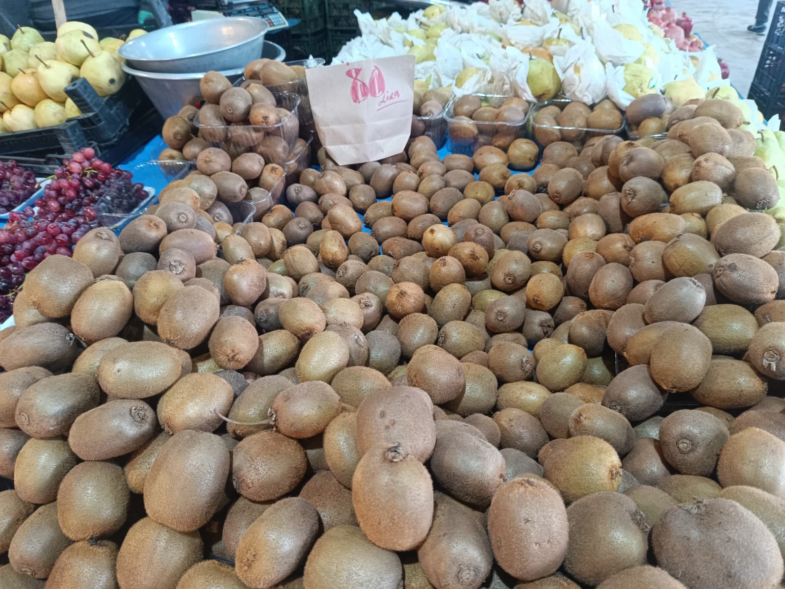 Whatsapp Image 2026 01 29 At 09.51.04 (1)