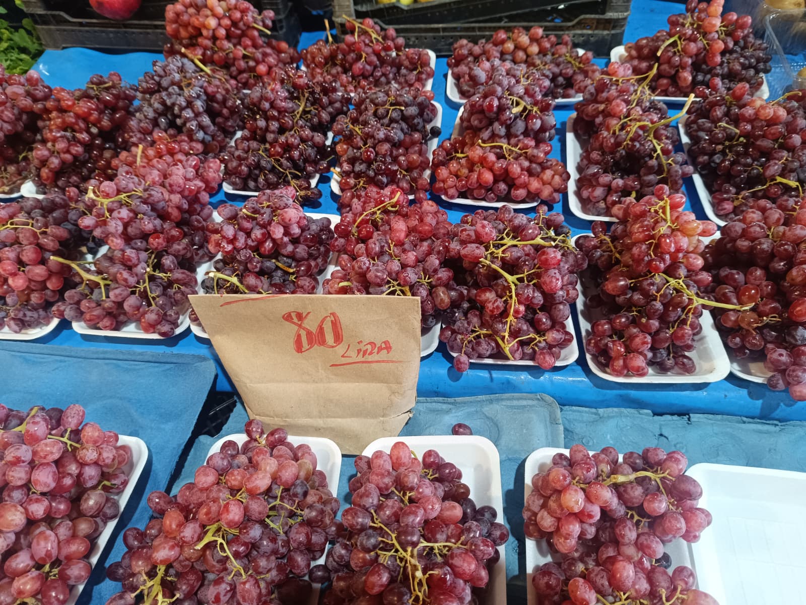 Whatsapp Image 2026 01 29 At 09.51.05