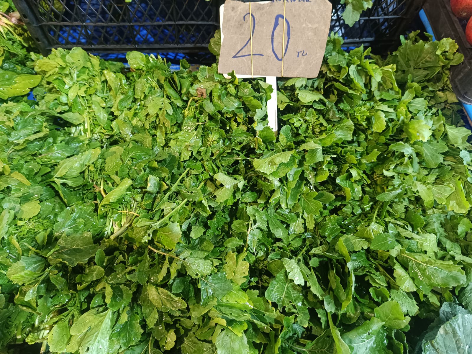 Whatsapp Image 2026 01 29 At 09.51.06