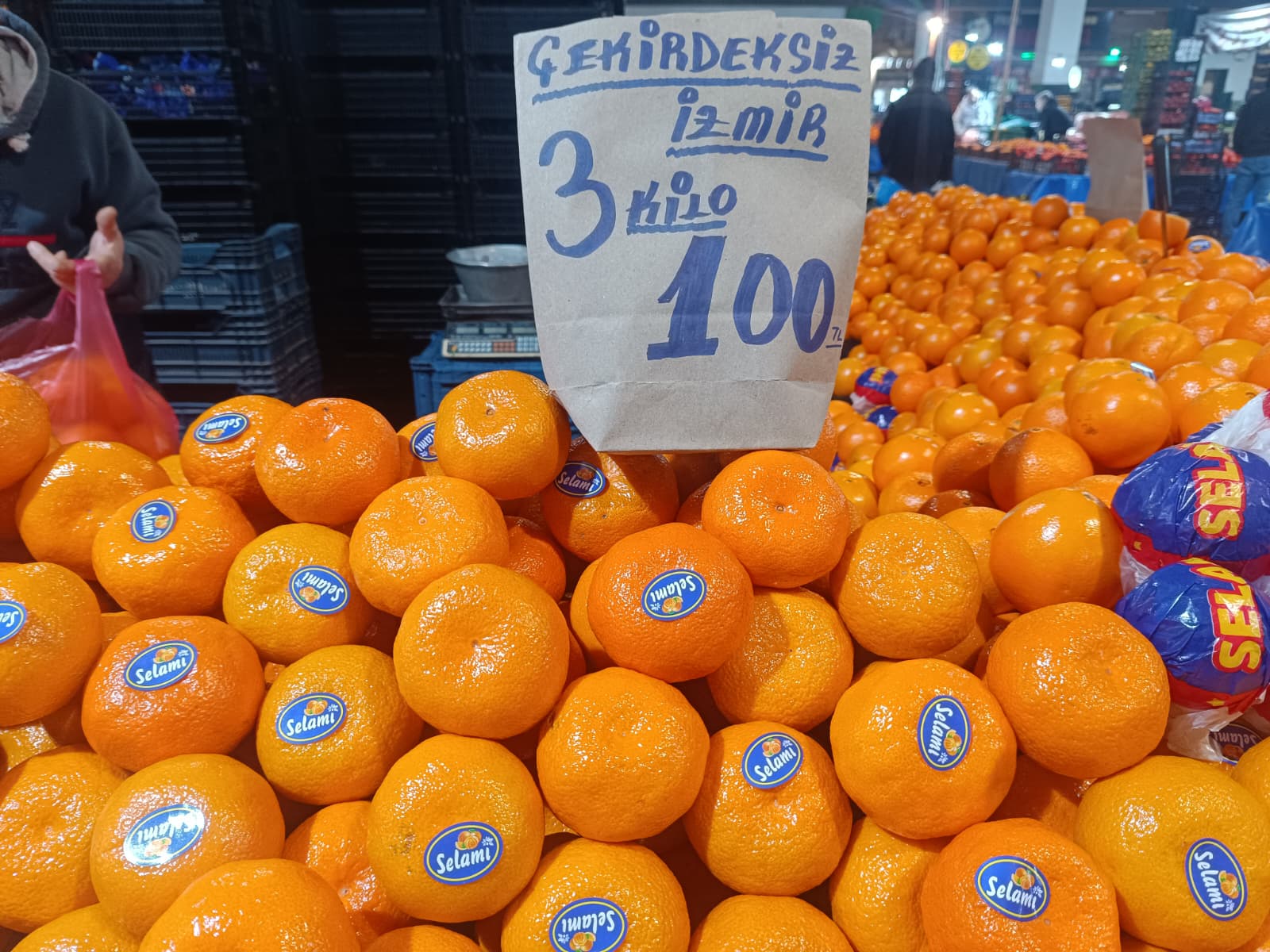 Whatsapp Image 2026 01 29 At 09.51.07