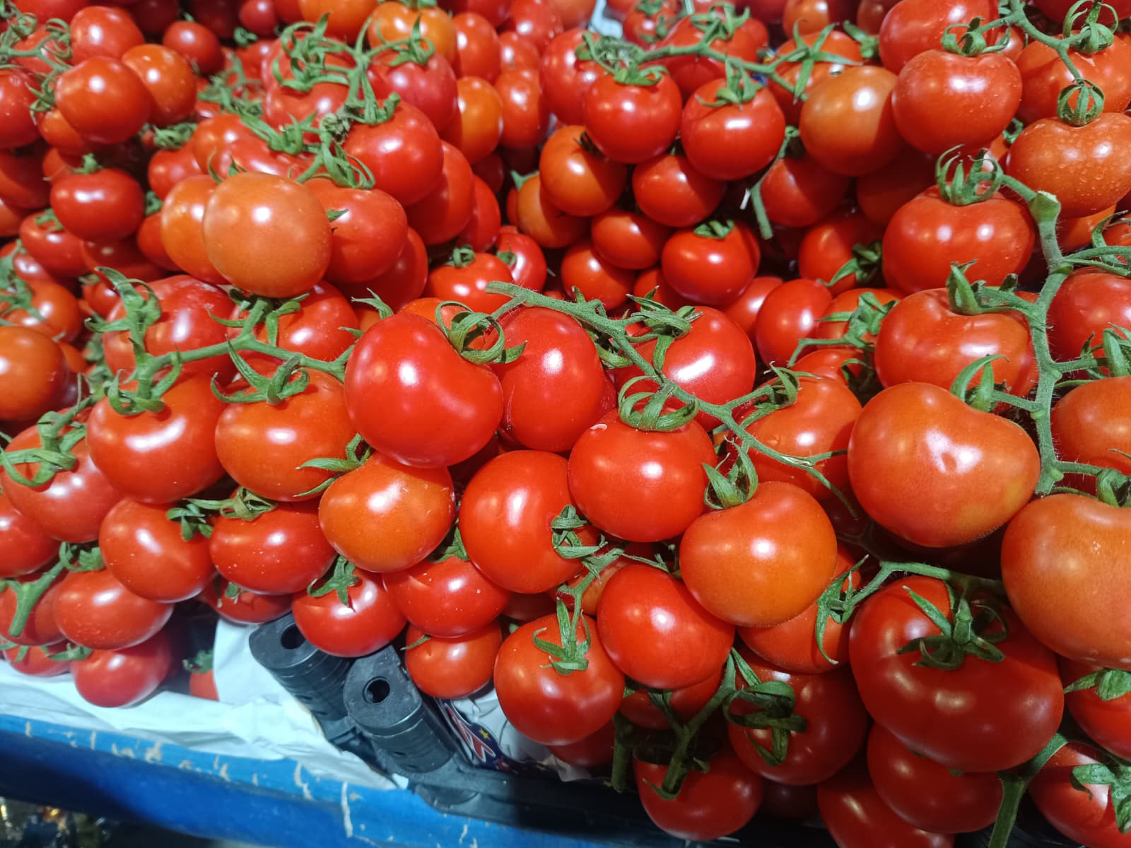 Whatsapp Image 2026 01 29 At 09.51.24