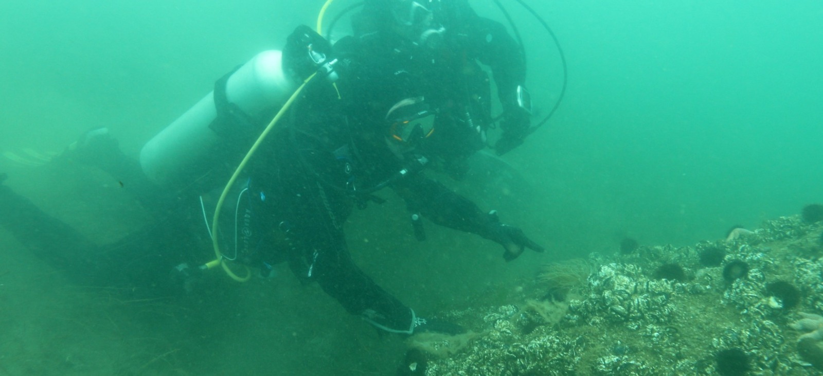 Whatsapp Image 2026 01 29 At 15.18.31 (2)