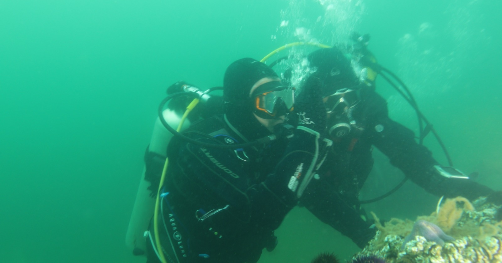 Whatsapp Image 2026 01 29 At 15.18.31