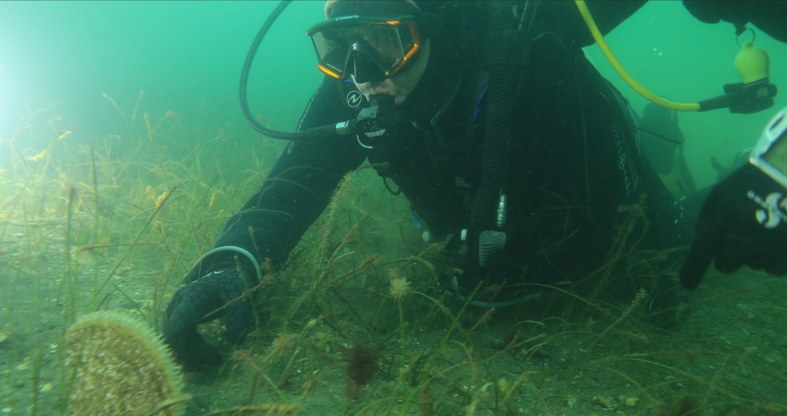 Whatsapp Image 2026 01 29 At 15.18.32