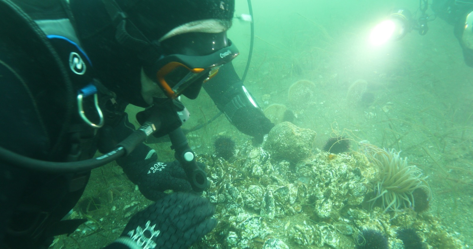 Whatsapp Image 2026 01 29 At 15.18.33 (2)