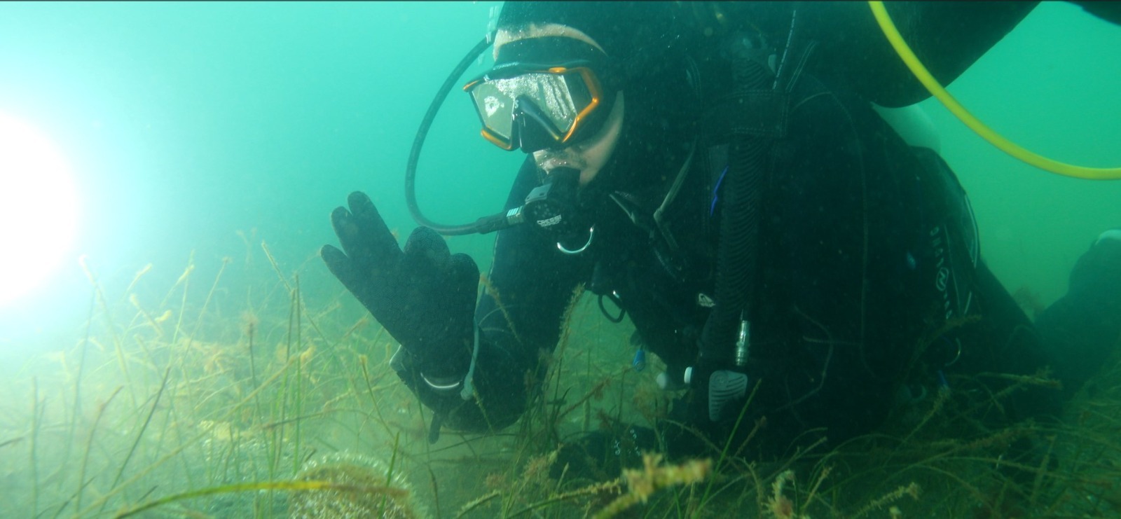 Whatsapp Image 2026 01 29 At 15.18.33