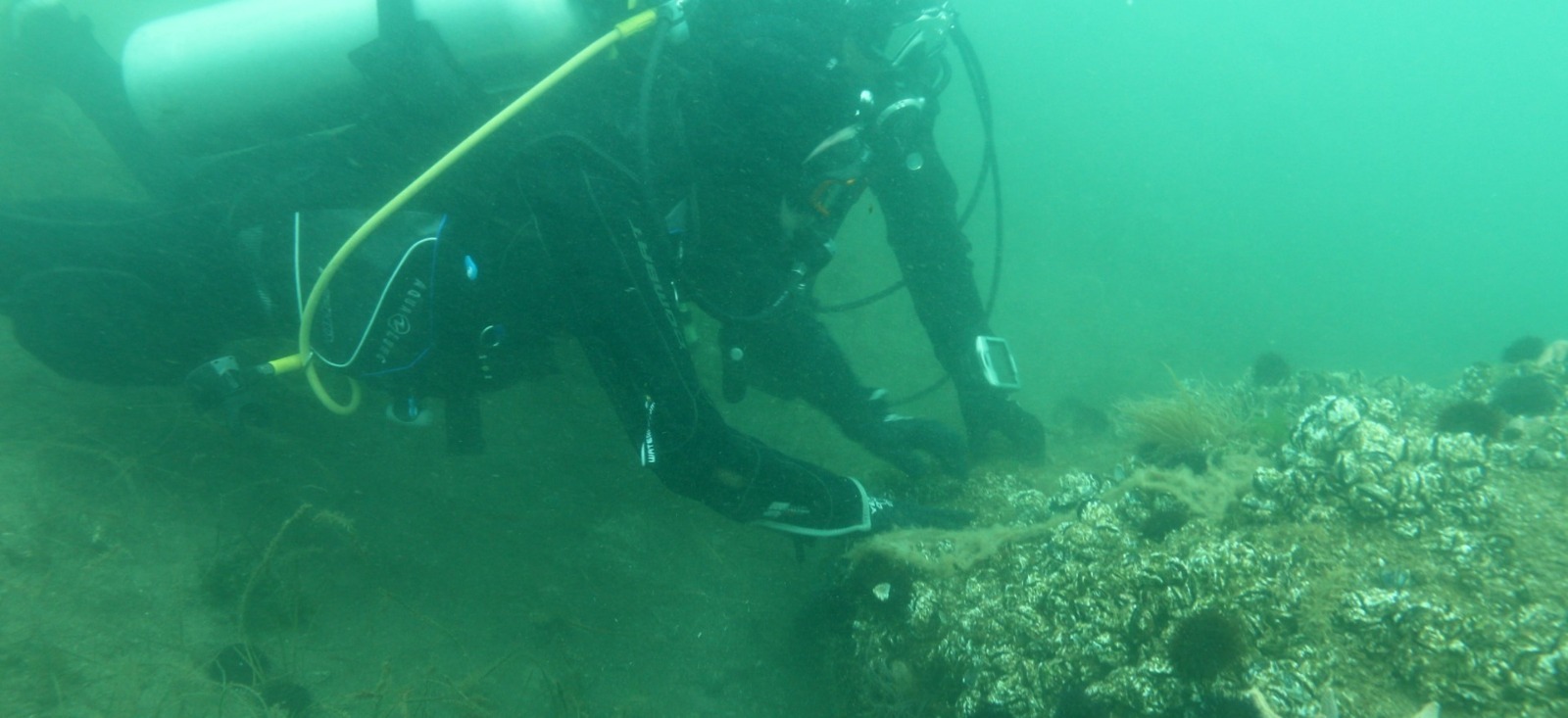 Whatsapp Image 2026 01 29 At 15.18.34