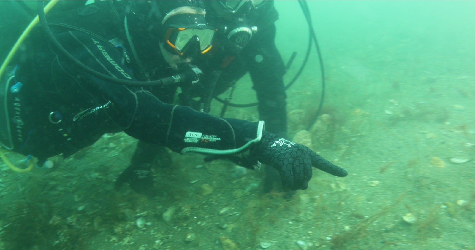 Whatsapp Image 2026 01 29 At 15.18.35 (1)