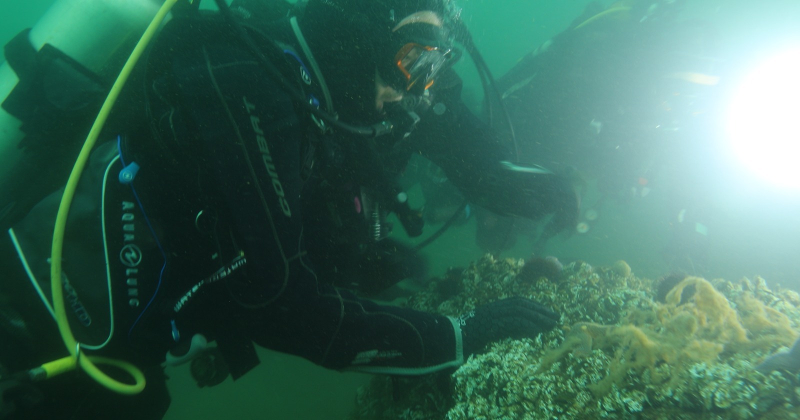 Whatsapp Image 2026 01 29 At 15.18.35 (2)