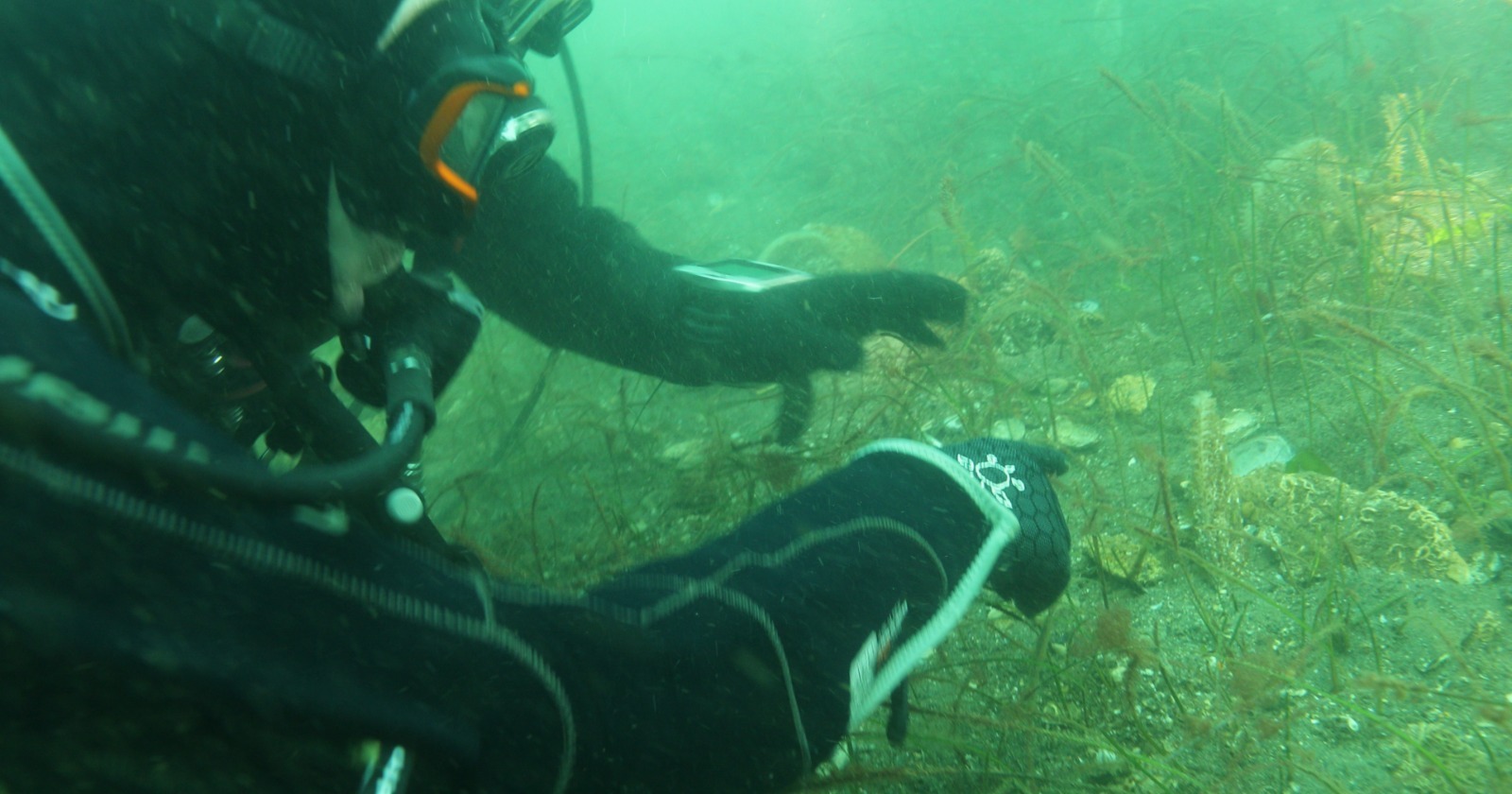 Whatsapp Image 2026 01 29 At 15.18.35