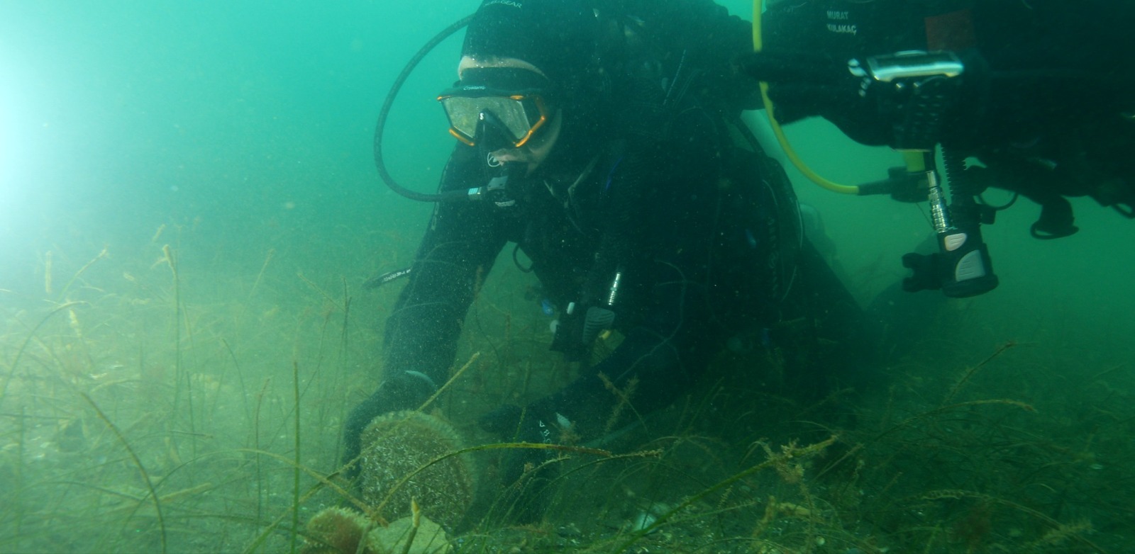 Whatsapp Image 2026 01 29 At 15.18.36