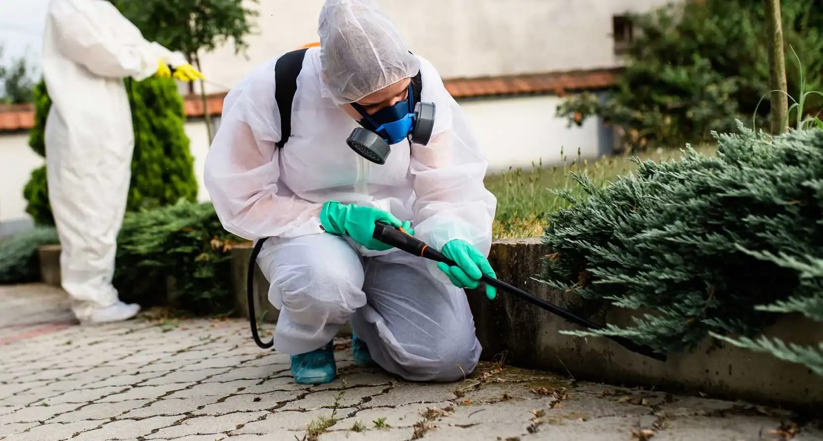 Whatsapp Image 2026 01 29 At Ös 5.55.42 (1)