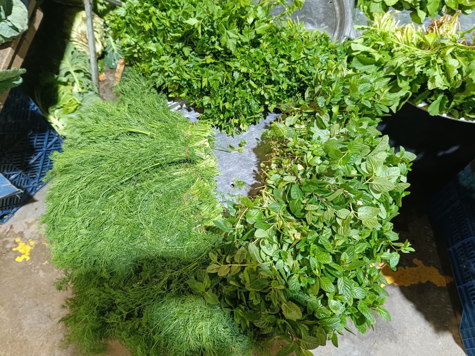 Whatsapp Image 2026 01 31 At 10.02.01 (2)