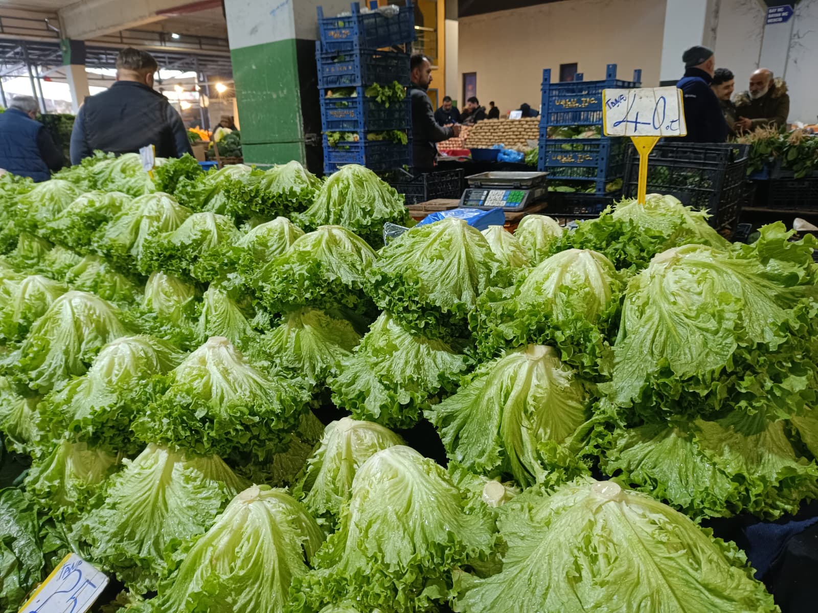 Whatsapp Image 2026 01 31 At 10.02.02