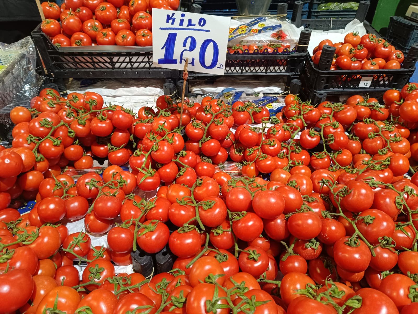 Whatsapp Image 2026 01 31 At 10.02.04