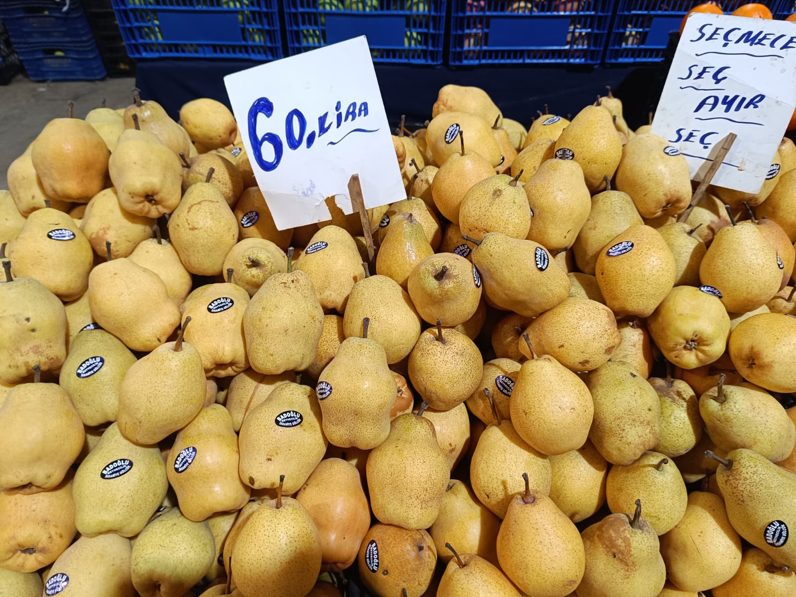 Whatsapp Image 2026 01 31 At 10.02.07