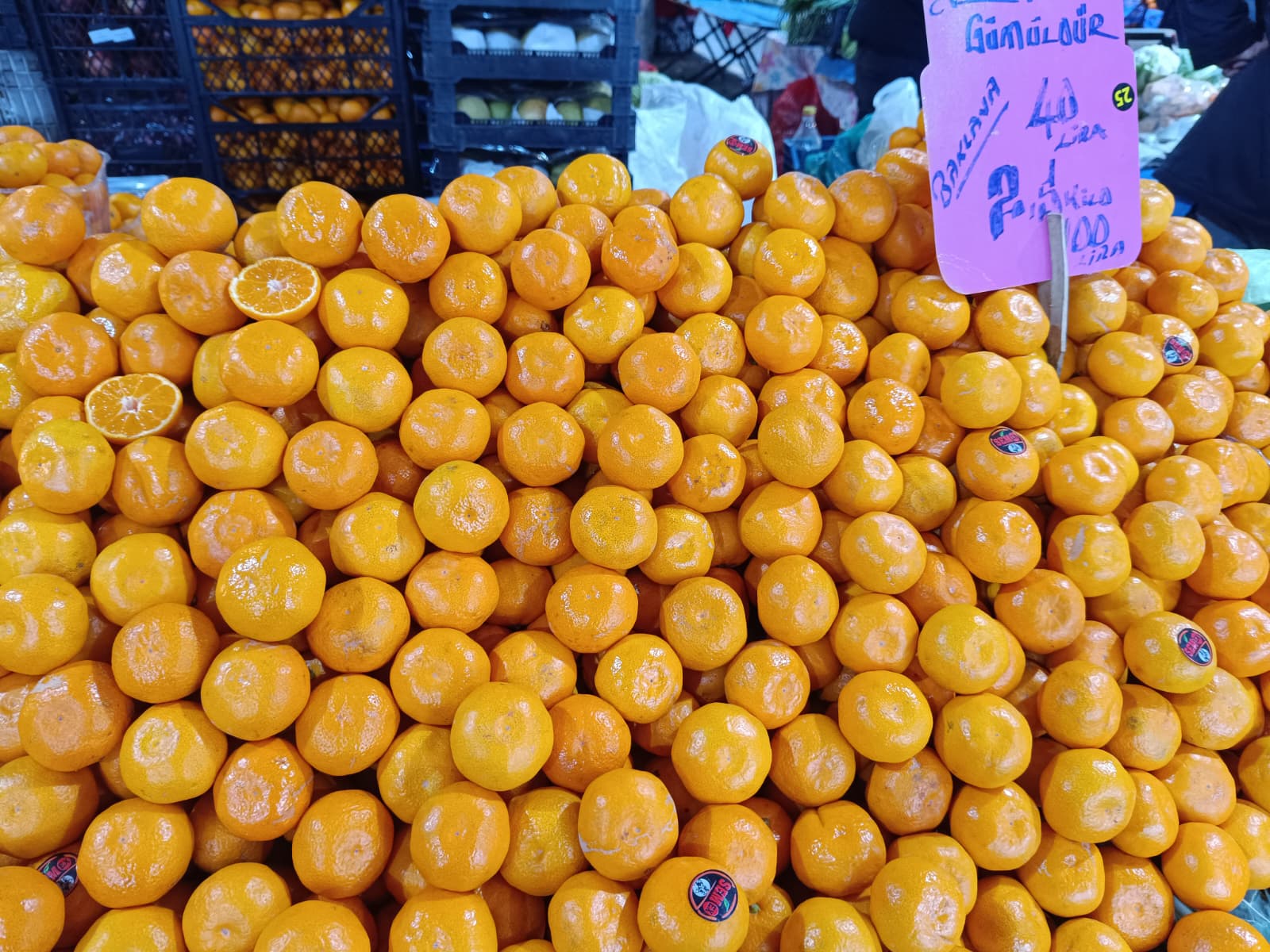 Whatsapp Image 2026 01 31 At 10.02.11