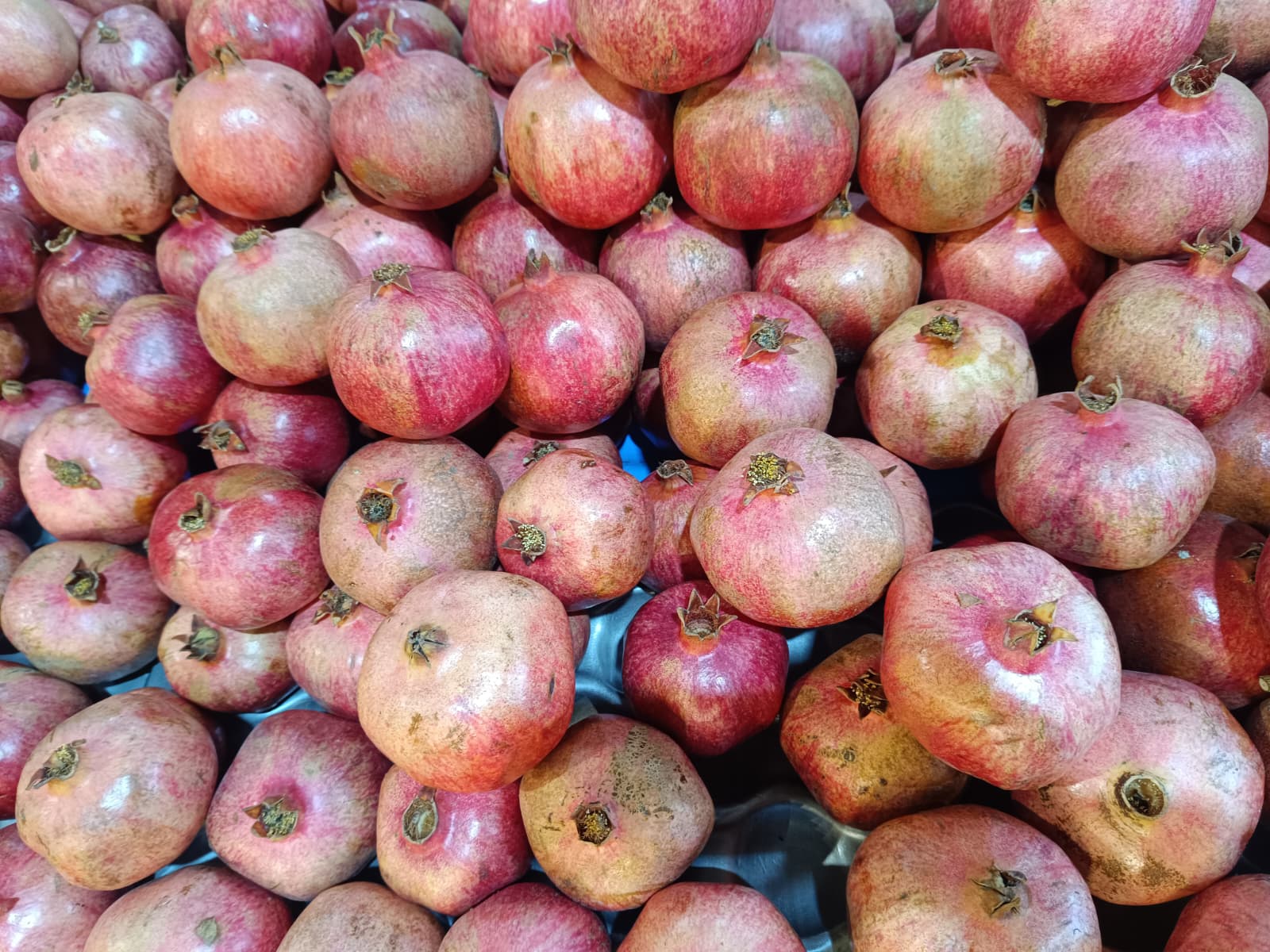 Whatsapp Image 2026 01 31 At 10.02.12