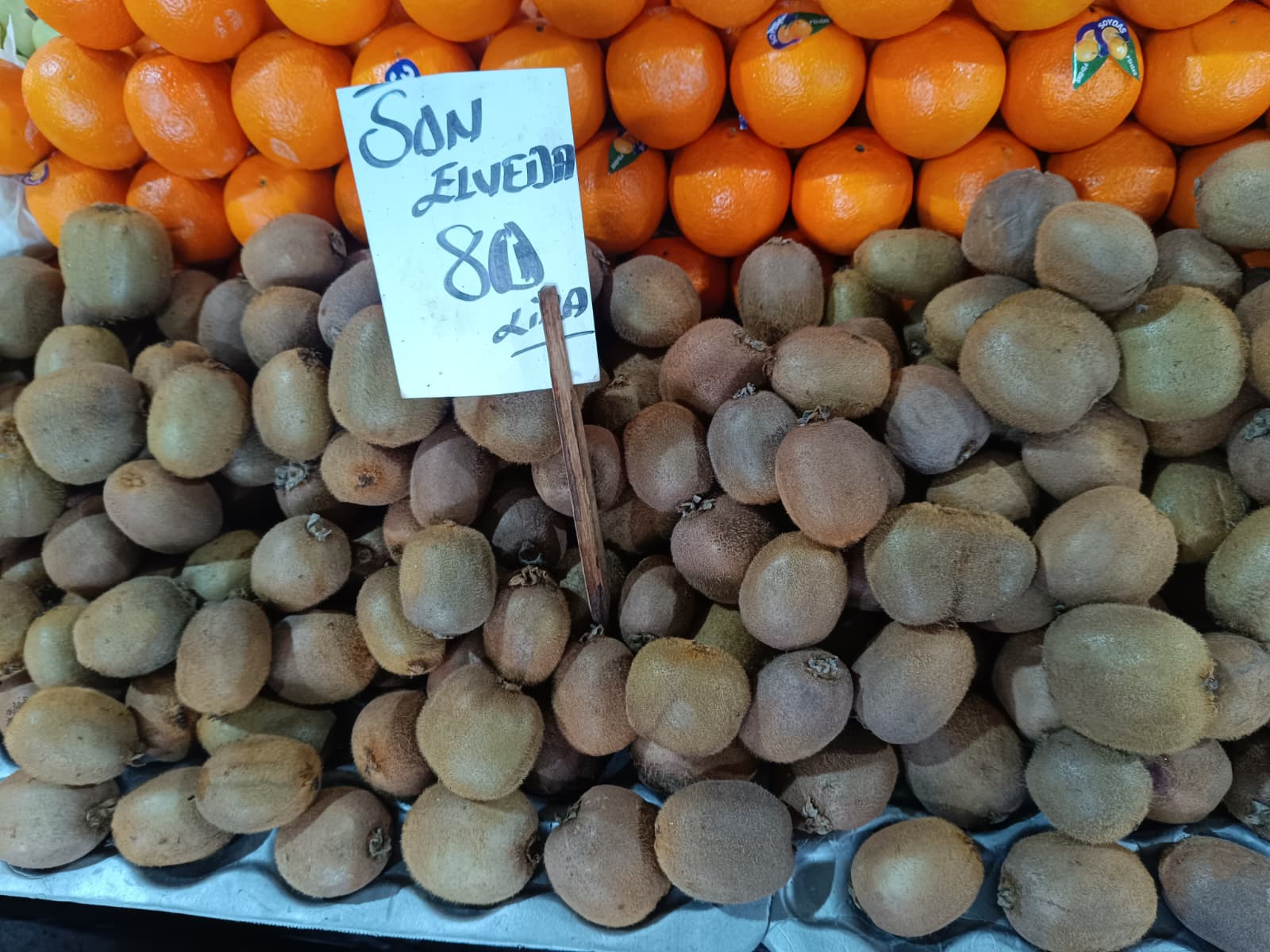 Whatsapp Image 2026 01 31 At 10.02.13