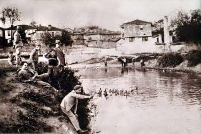 Whatsapp Image 2026 01 31 At 15.46.17