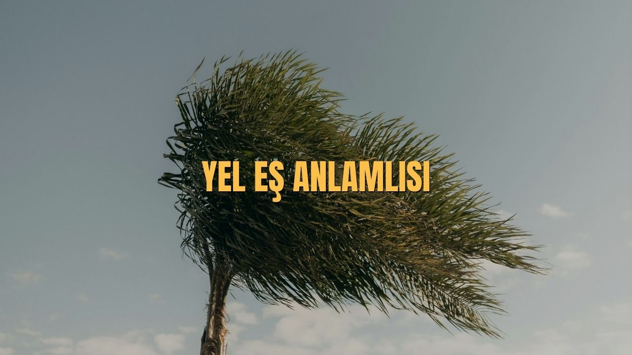 Yel Es Anlamlisi Nedir