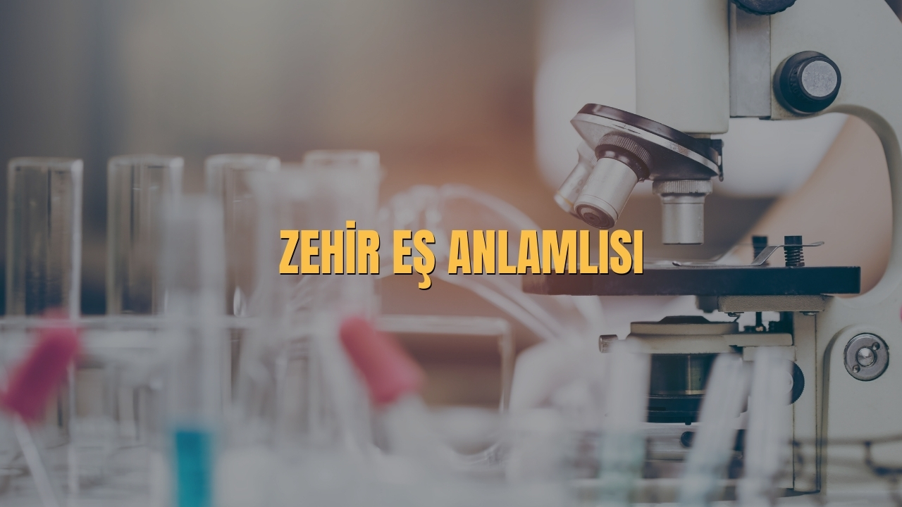 Zehir Es Anlamlisi Nedir