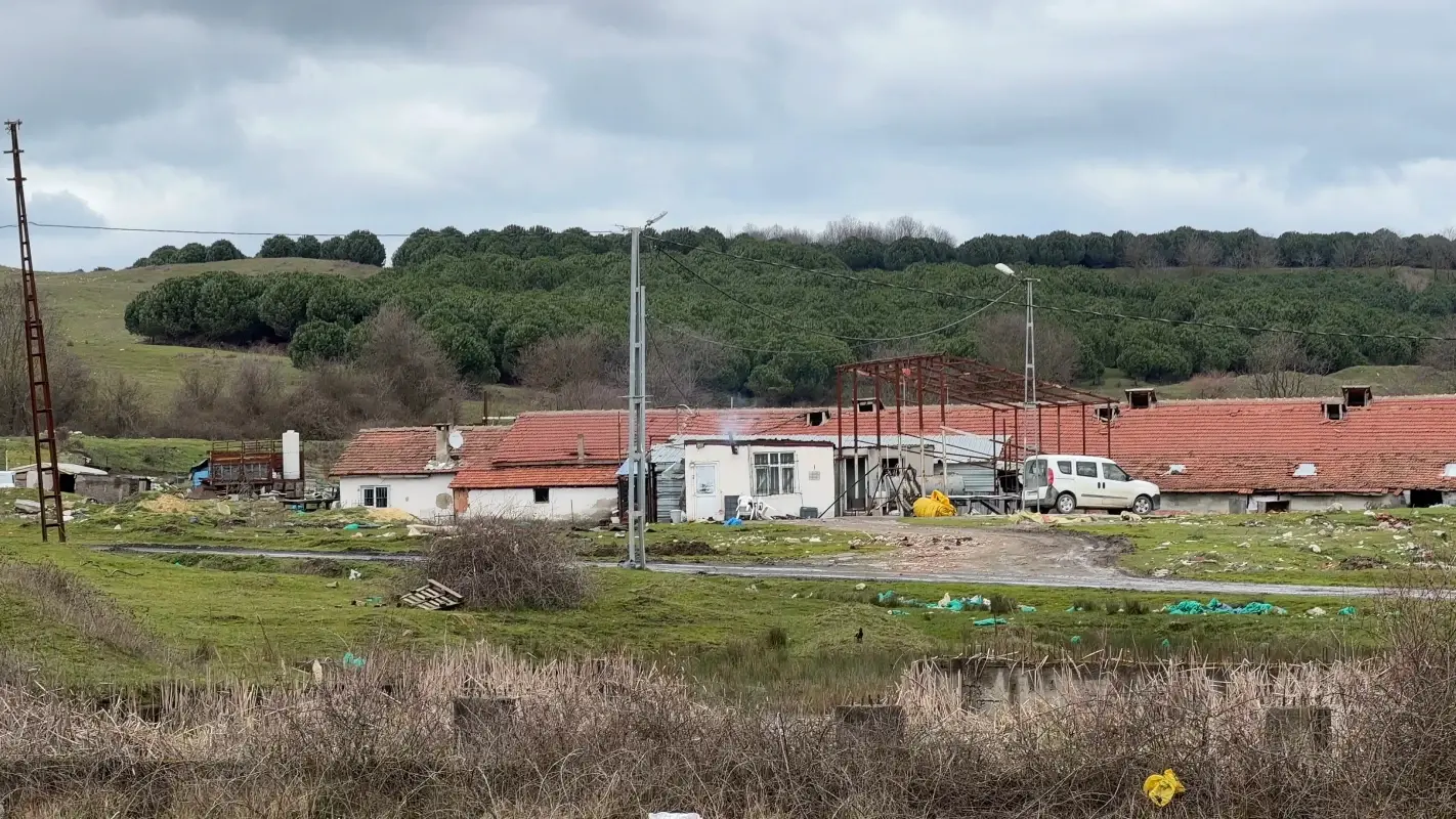 17D97A46 5Xqhqyf6Qjwdqc8Bpkhv6T