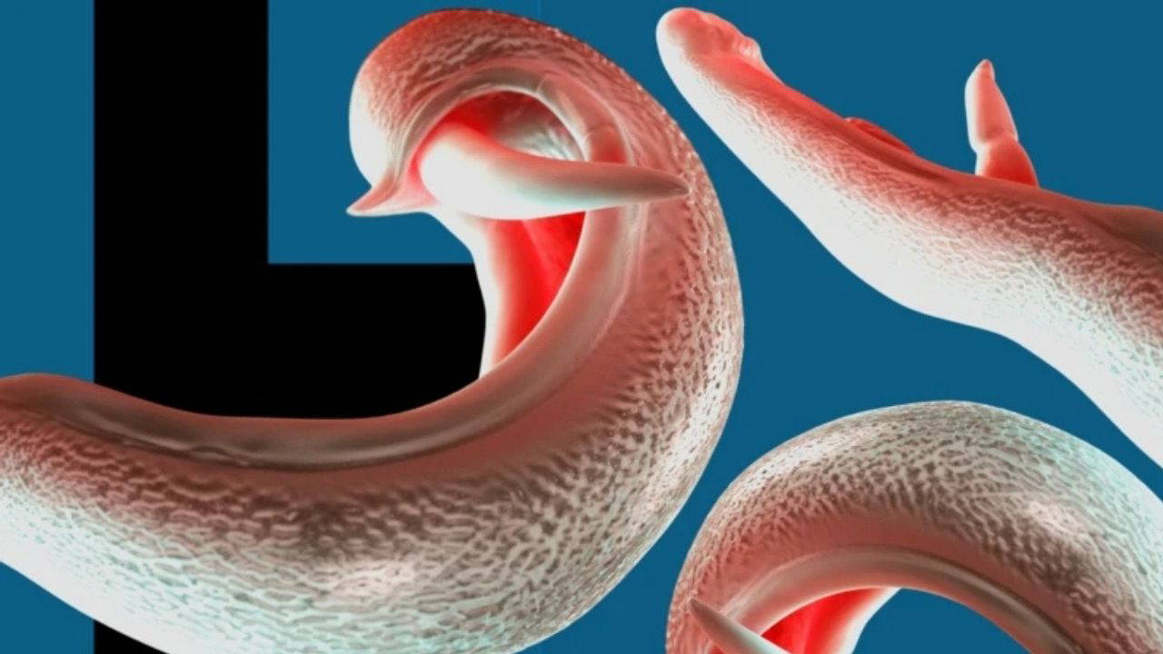 C0C3Cb86 9A07 4Df9 B213 B1C861F4A356