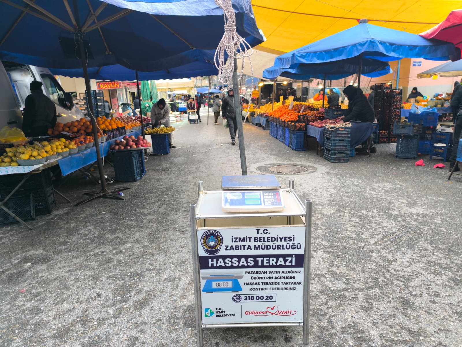 Whatsapp Image 2026 02 01 At 10.33.56