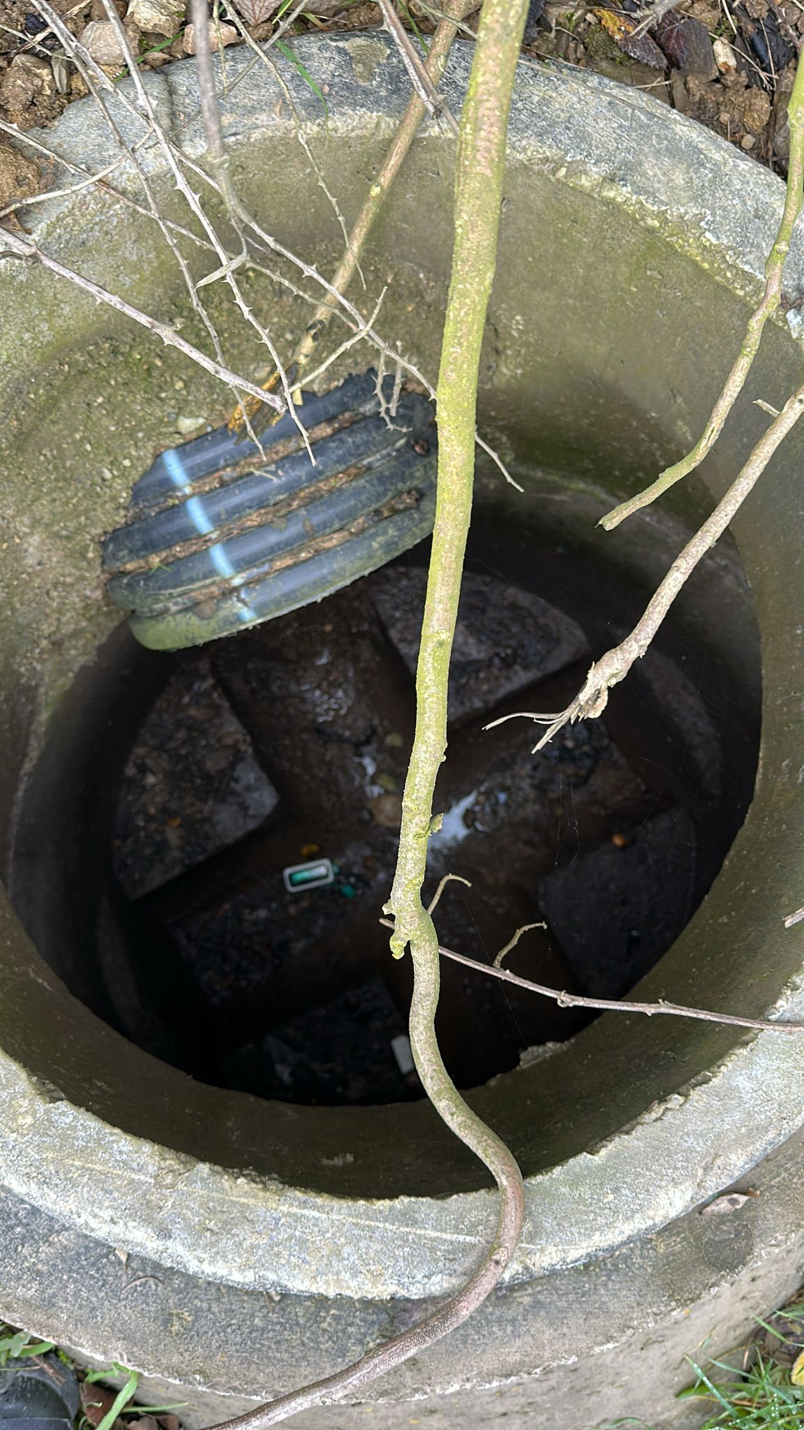 Whatsapp Image 2026 02 01 At 15.36.09