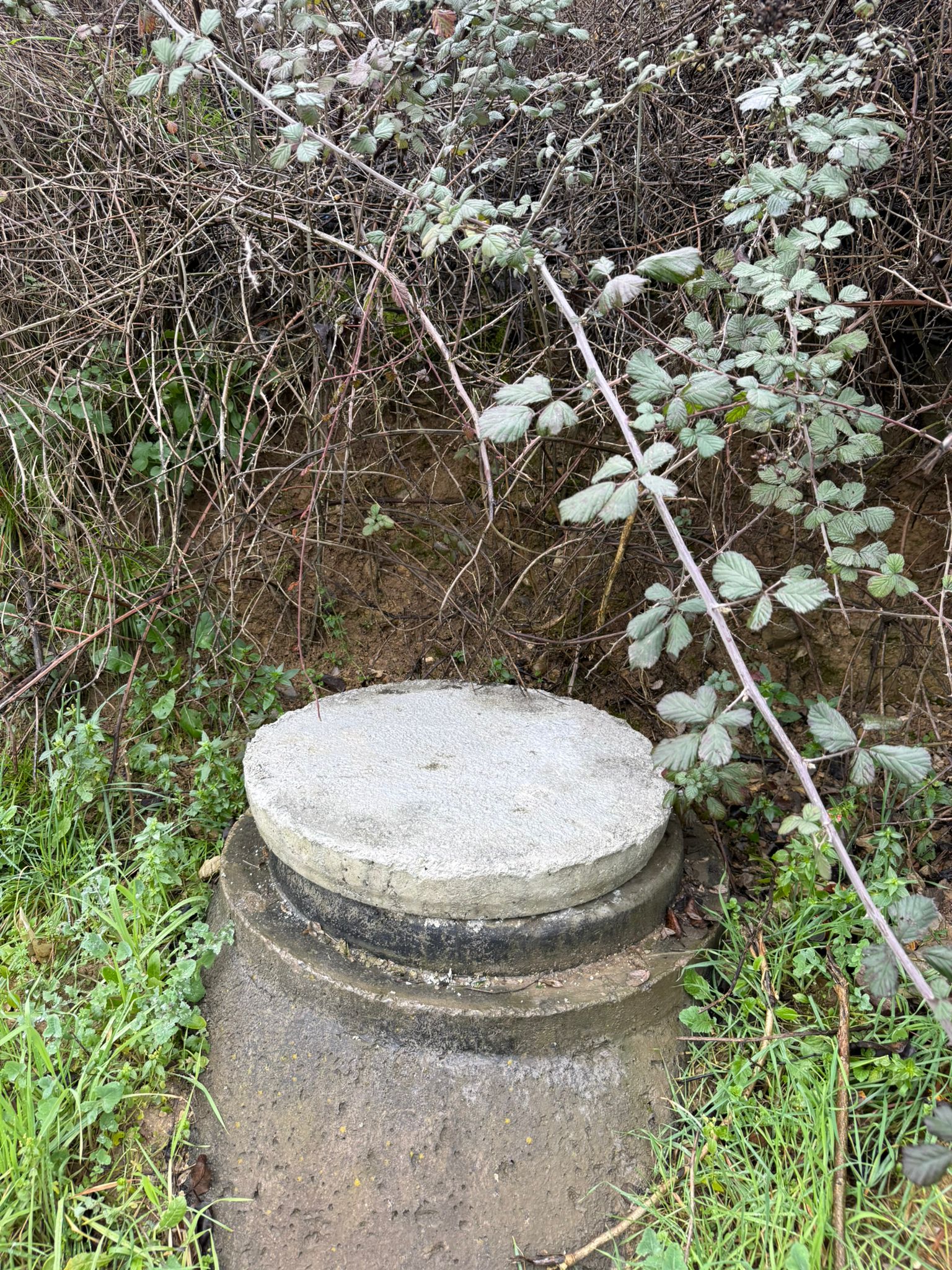 Whatsapp Image 2026 02 04 At Ös 5.51.40